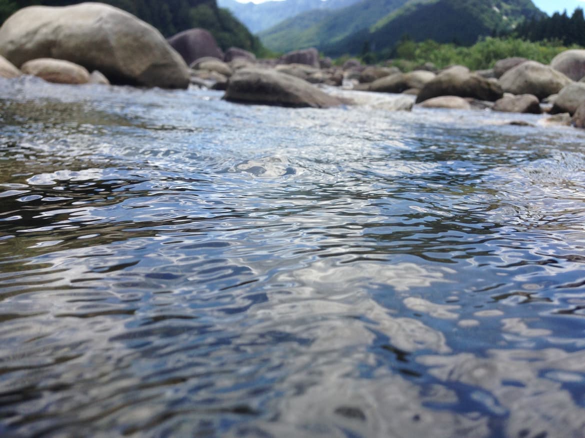 魚野川の清流