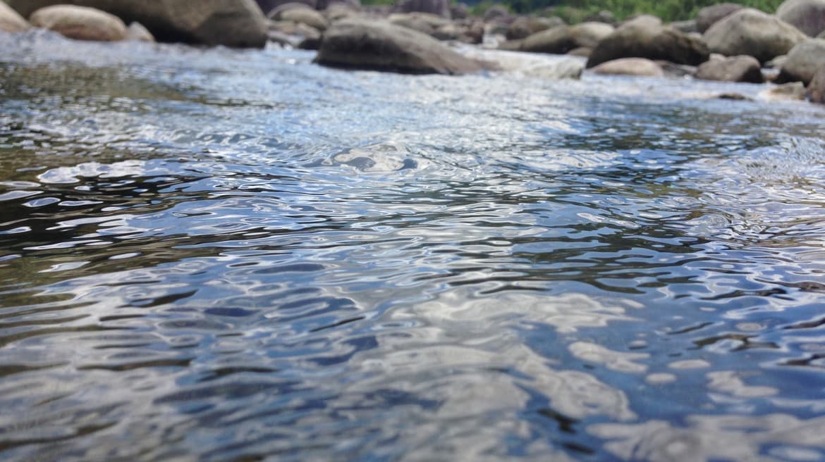 魚野川の清流